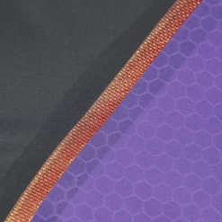 Women's Fastskin LZR Pure Intent Purple Reign Openback Kneeskin